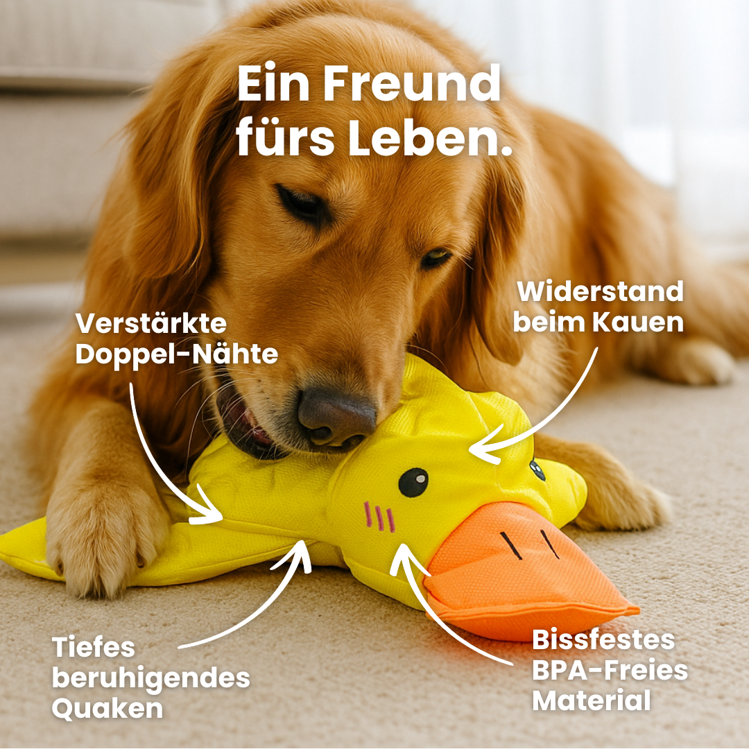 Bester Freund Quaki