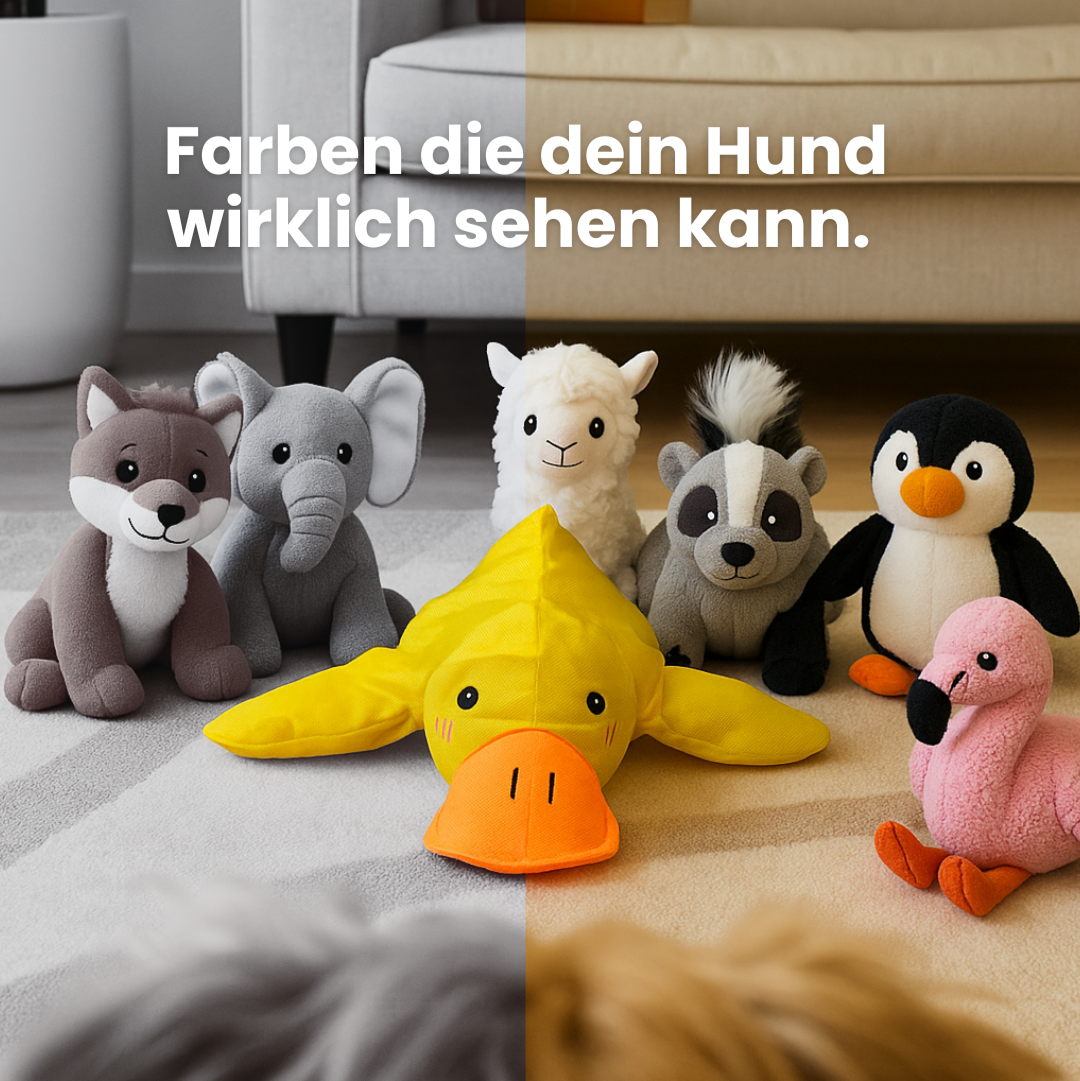 Bester Freund Quaki