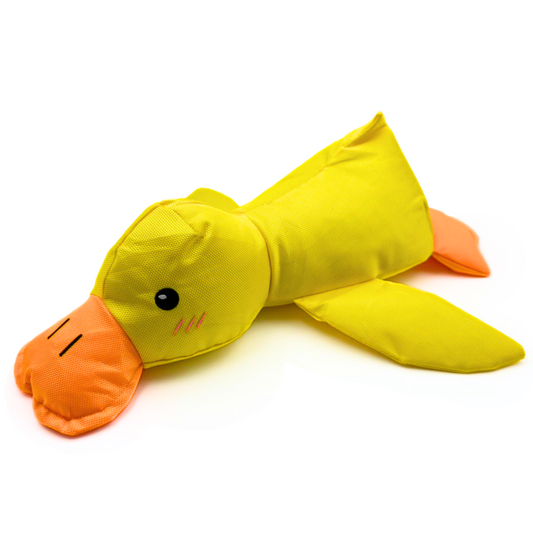 Bester Freund Quaki