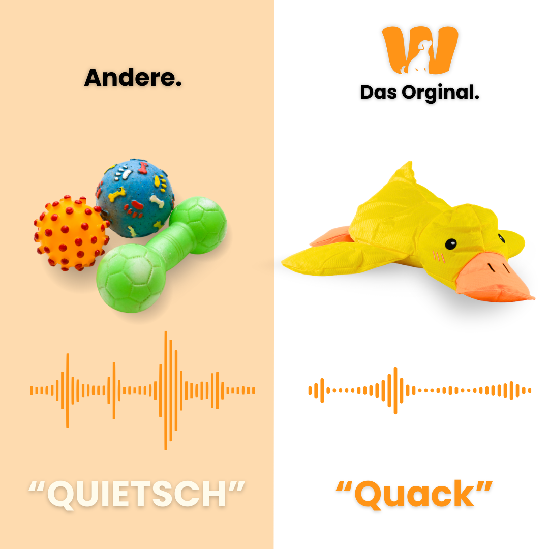 Bester Freund Quaki